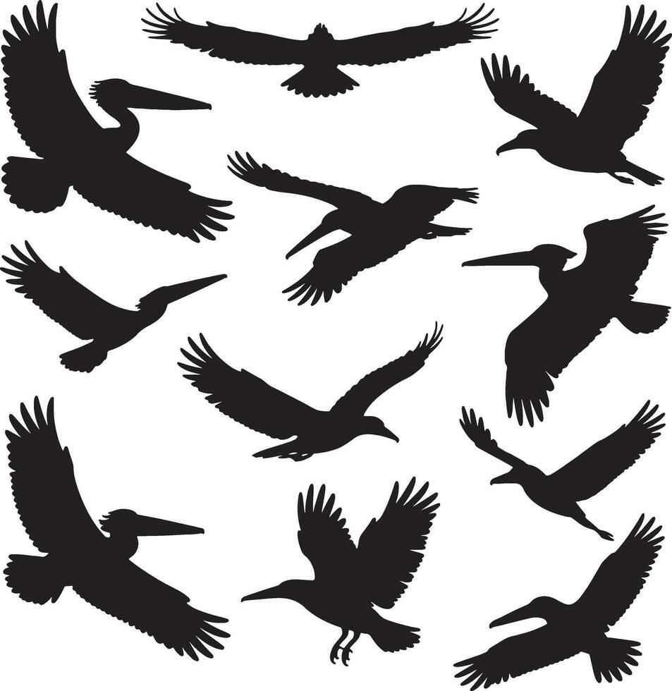Silhouettes of various birds in flight pelicans eagles vector