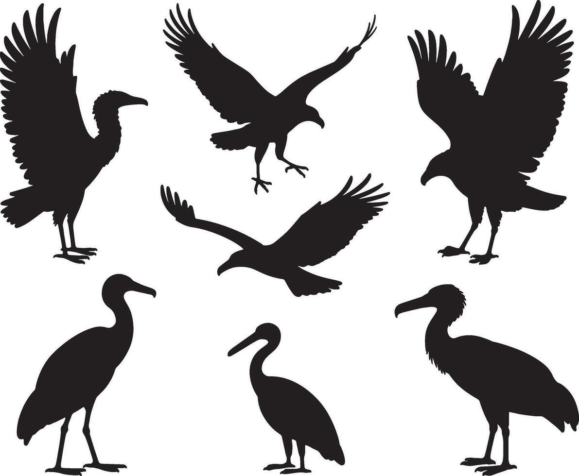 Silhouettes of various birds of prey and wading birds vector