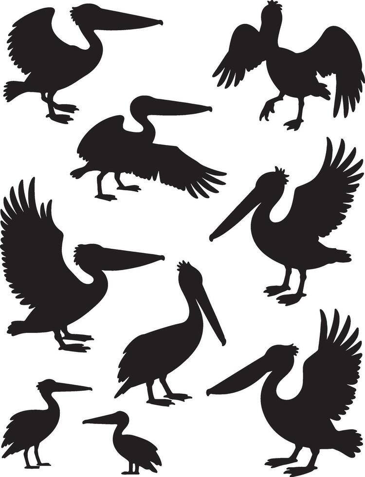 Silhouettes of pelicans in various poses vector