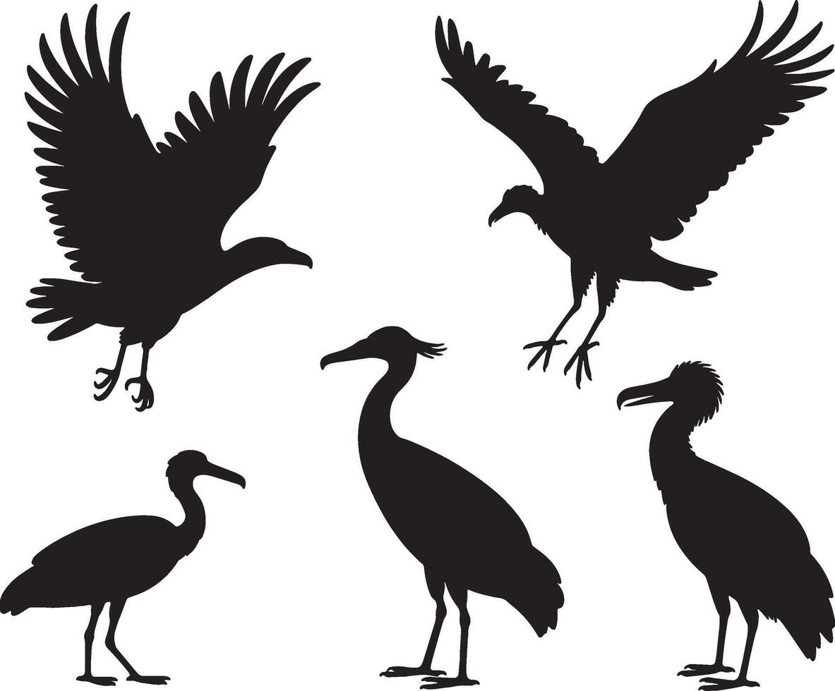 Best Bird silhouettes collection flying birds wading birds vector