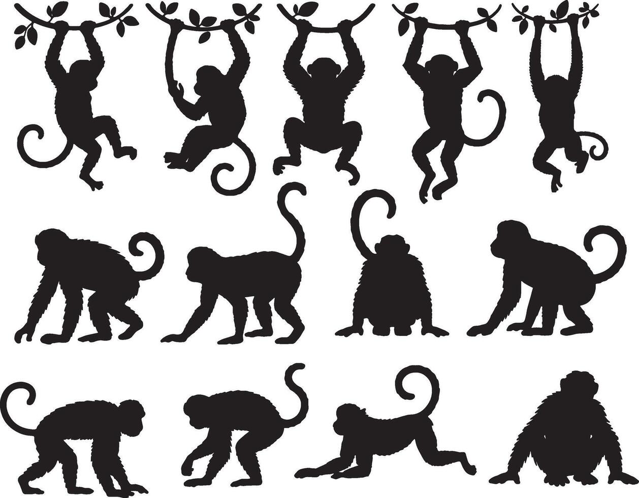 monkeys silhouettes set of different animals vector