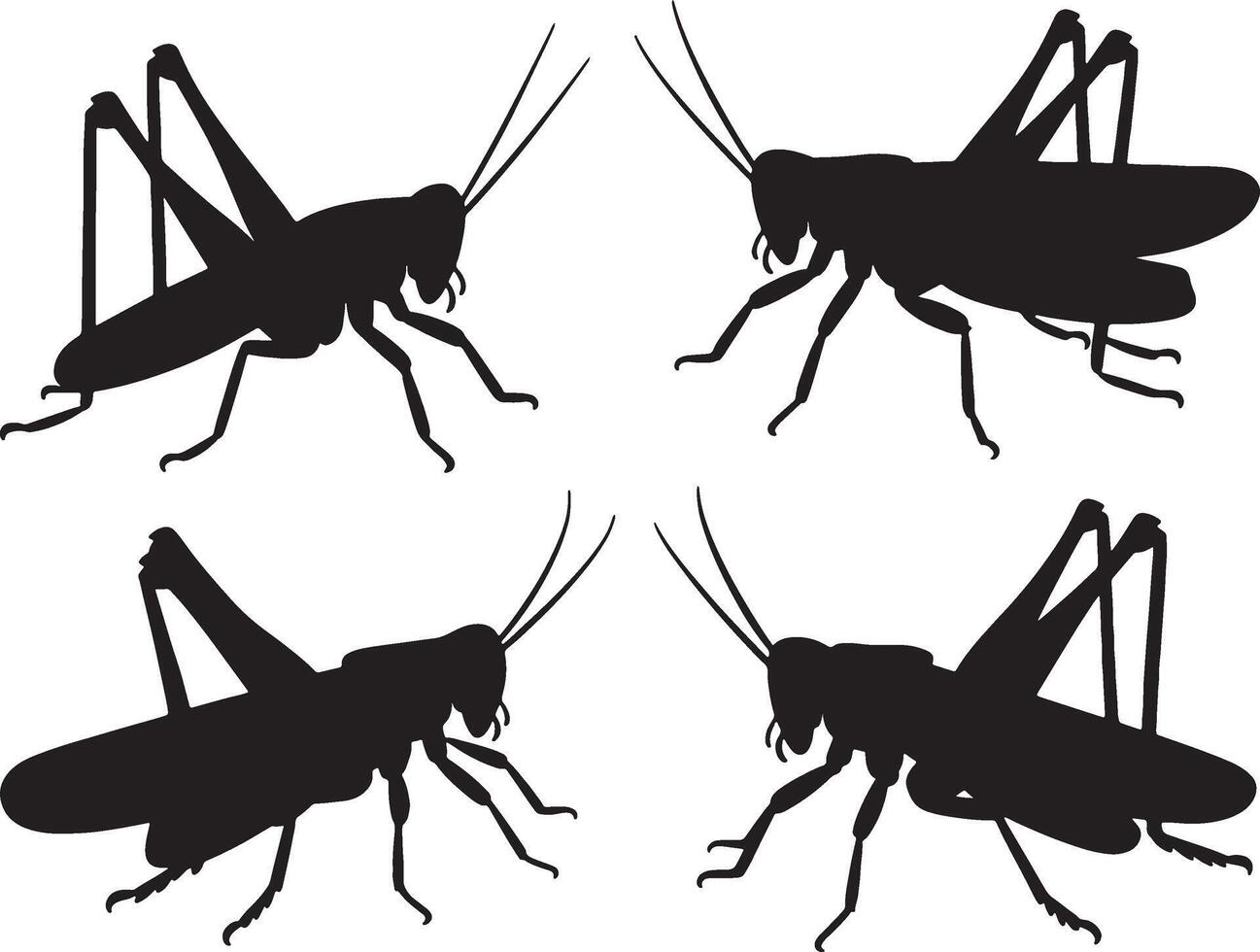 Four grasshopper silhouettes black and white insects vector