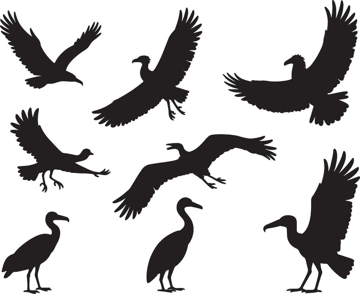 Black silhouettes of various birds in flight and resting vector