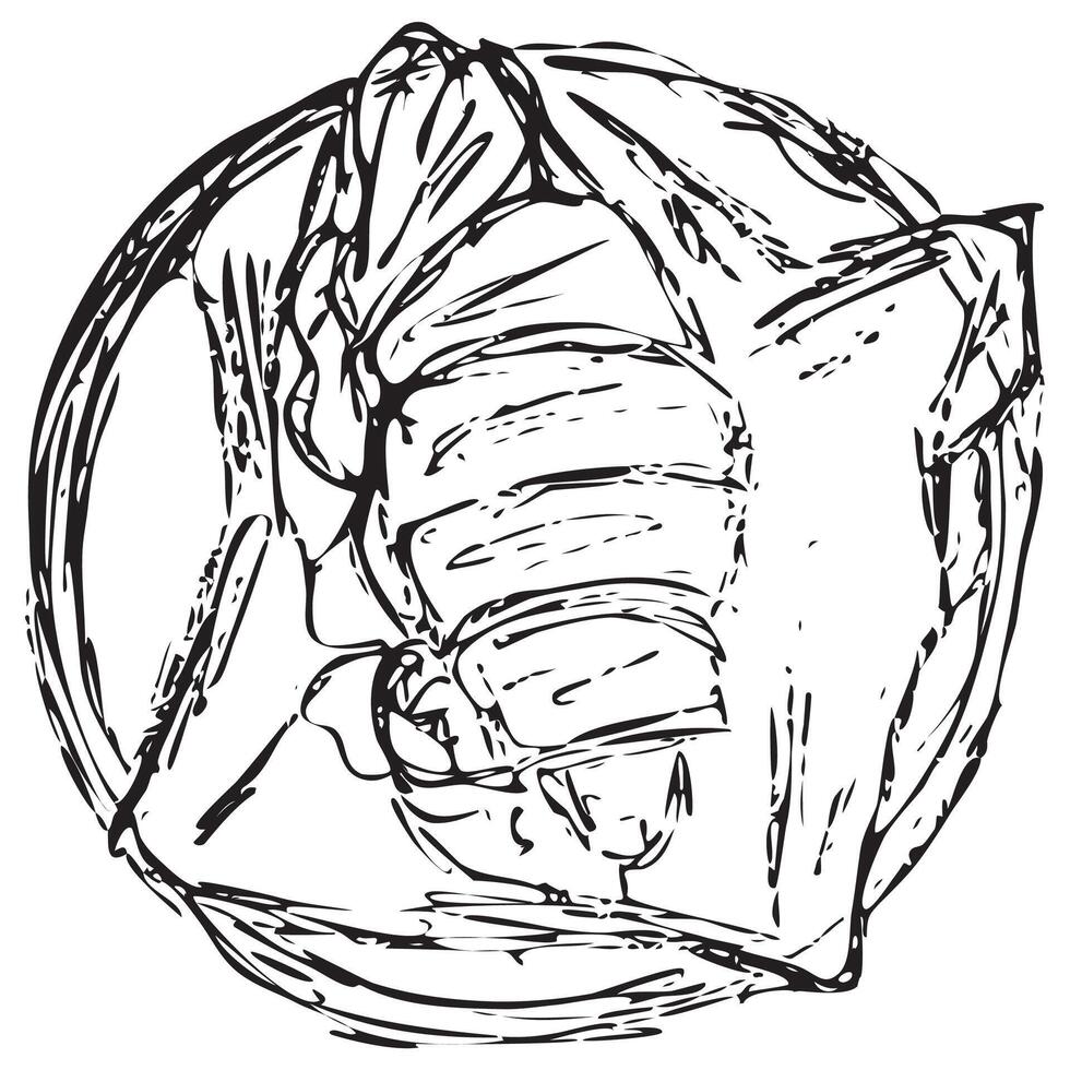 icon of a croissant with filling lying on a round plate, sketch with chaotic strokes vector