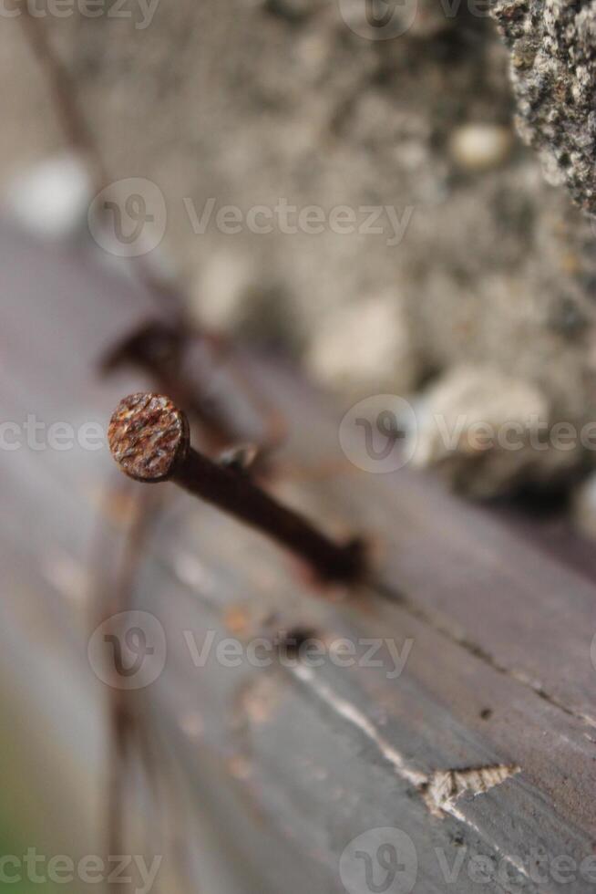 a nail sticking out of a wooden board photo