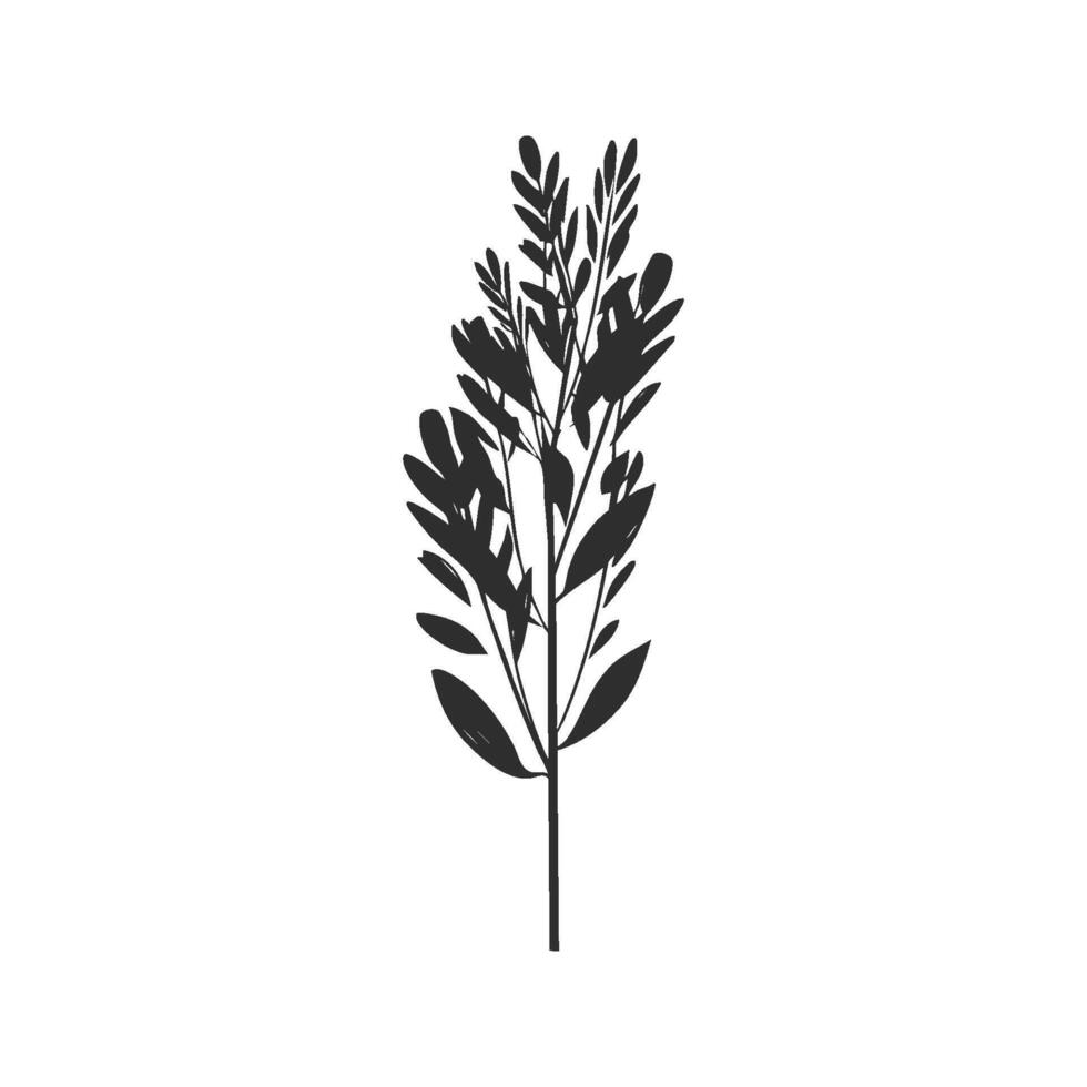 Silhouette Of Botanical Plant With Leaves Illustration. Nature And Simplicity In Design Isolated Illustration vector