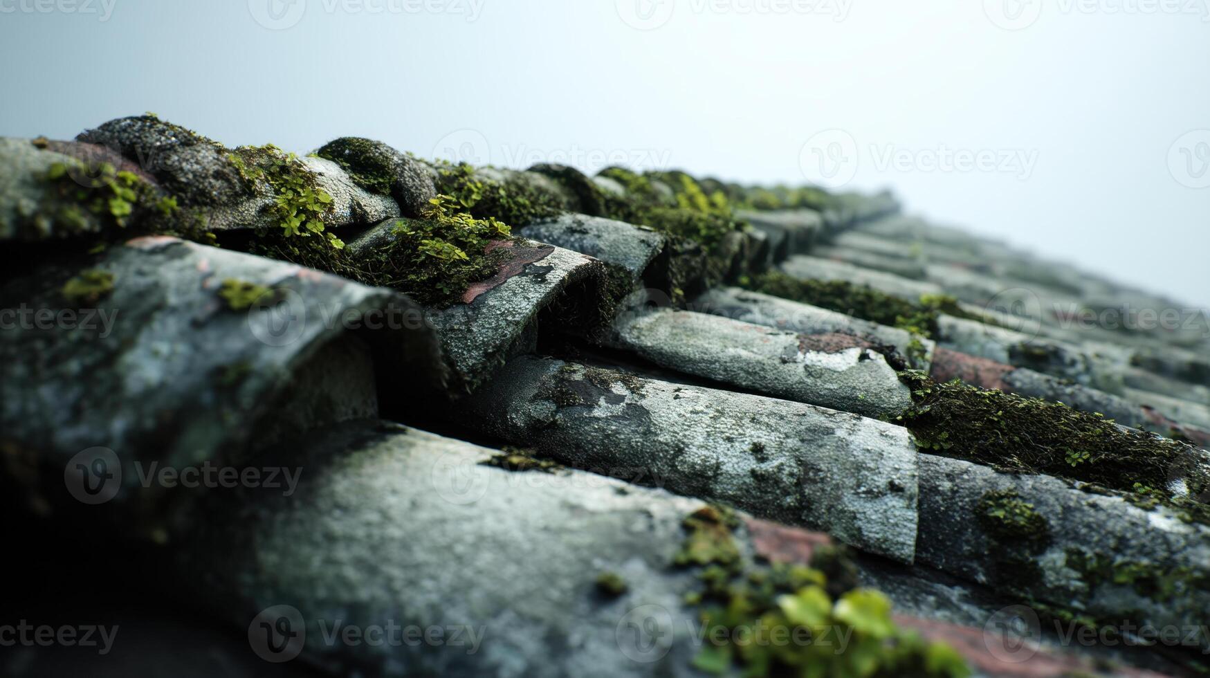 Old mossy tiles photo