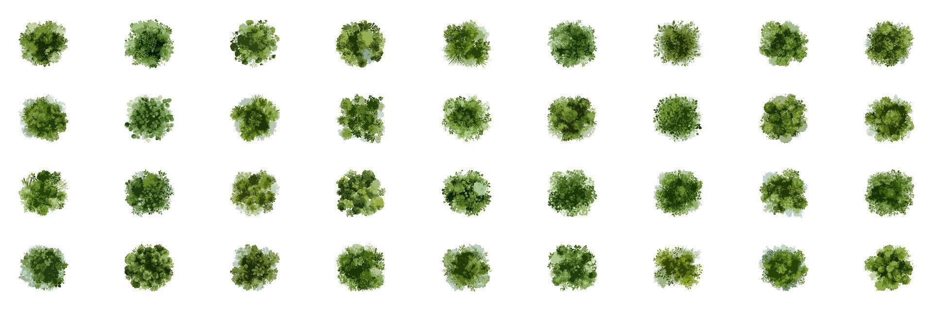 Architectural Elements Featuring Watercolor Bushes from Above. Green Planning Assets for Eco Landscaping and Urban Park Layouts. Isolated Illustration vector