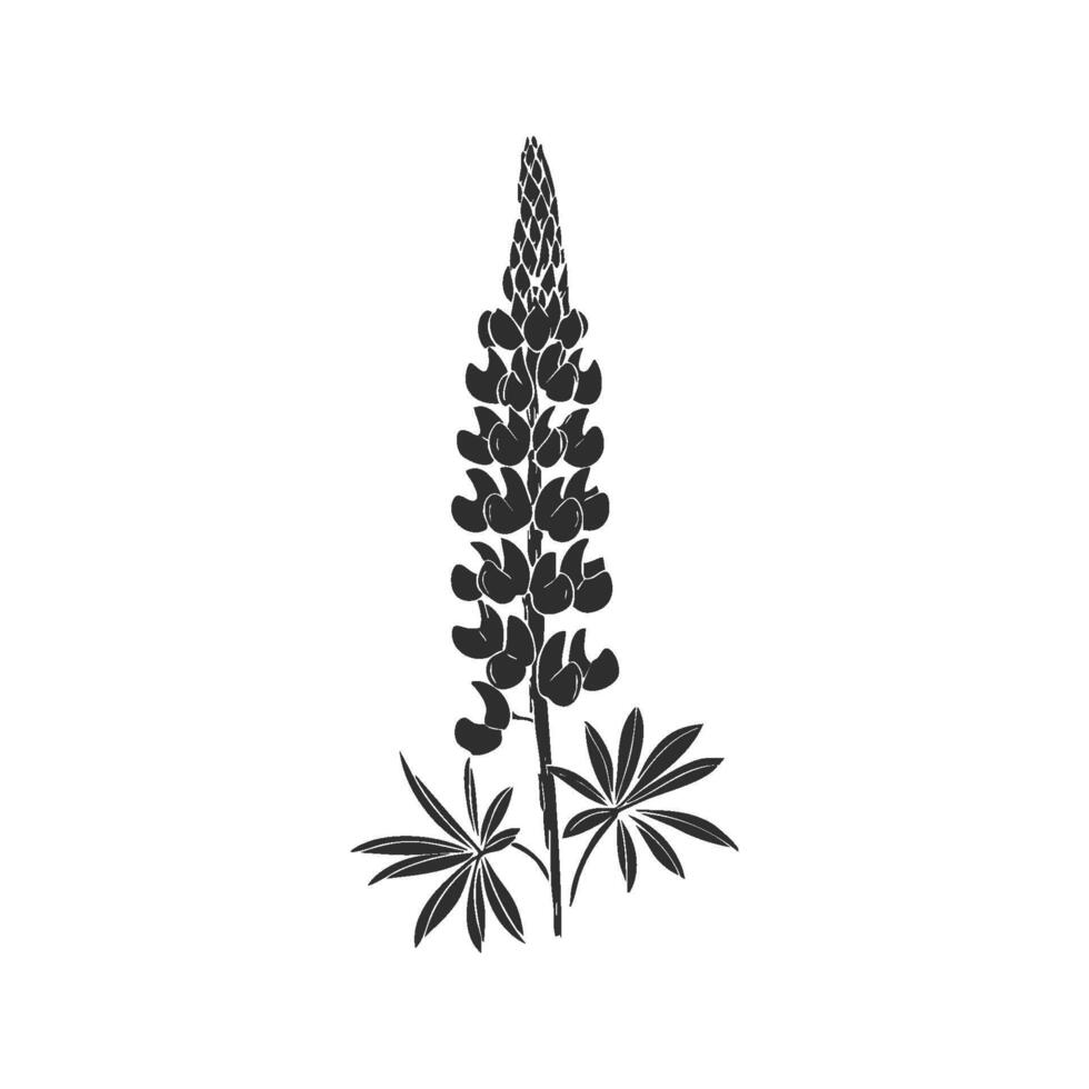 Lupine Flower Silhouette Illustration. Botanical Beauty And Nature'S Elegance Isolated Illustration vector