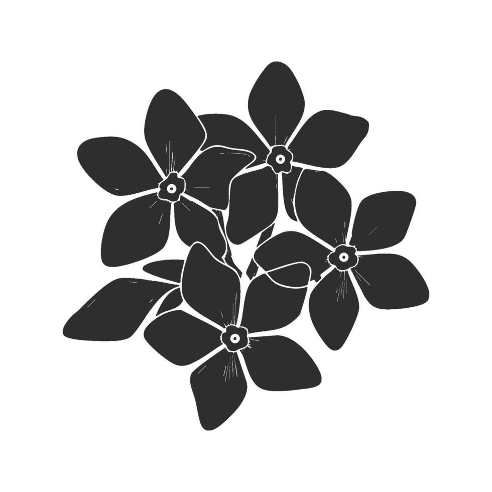 Floral Cluster Silhouette Illustration. Botanical Design And Nature Aesthetics Isolated Illustration vector