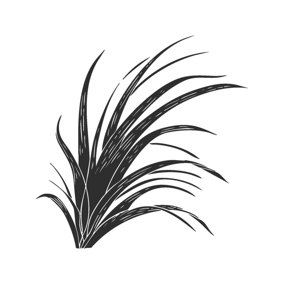 Grass Plant Silhouette Illustration. Nature And Botanical Design Element Isolated Illustration vector