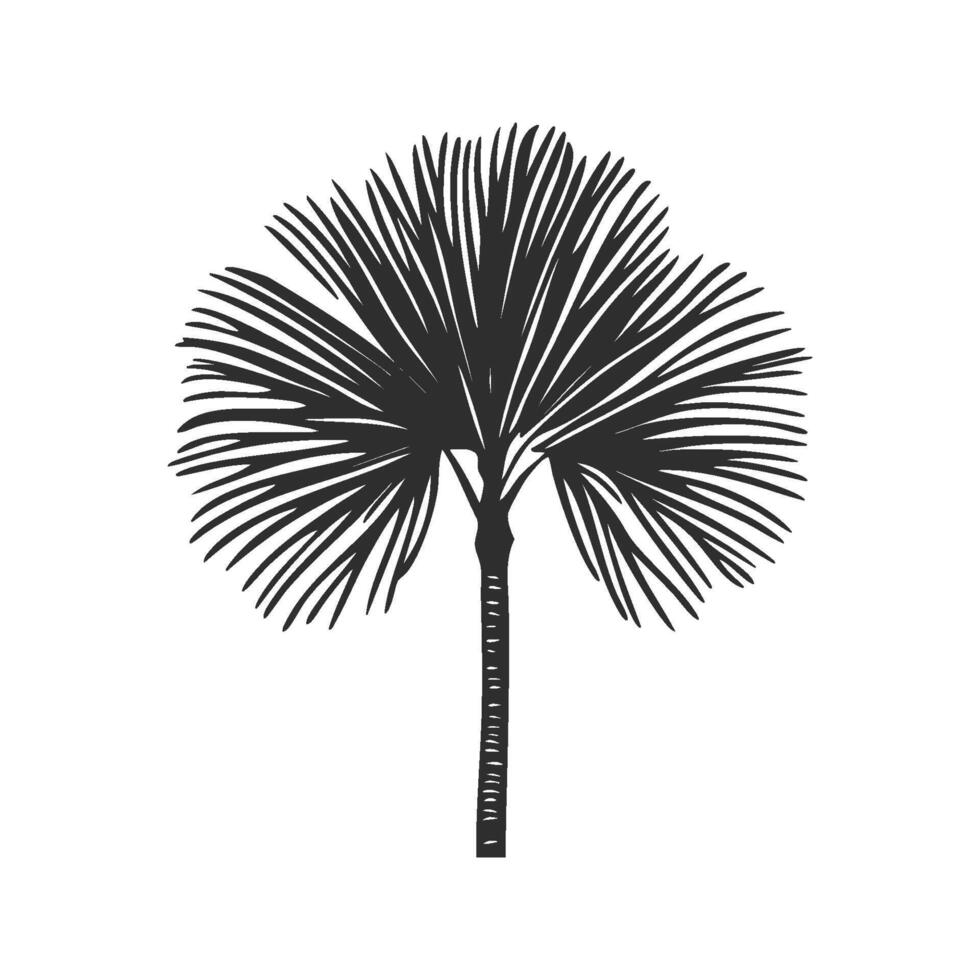 Palm Tree Illustration. Tropical Nature And Relaxation Symbol. vector