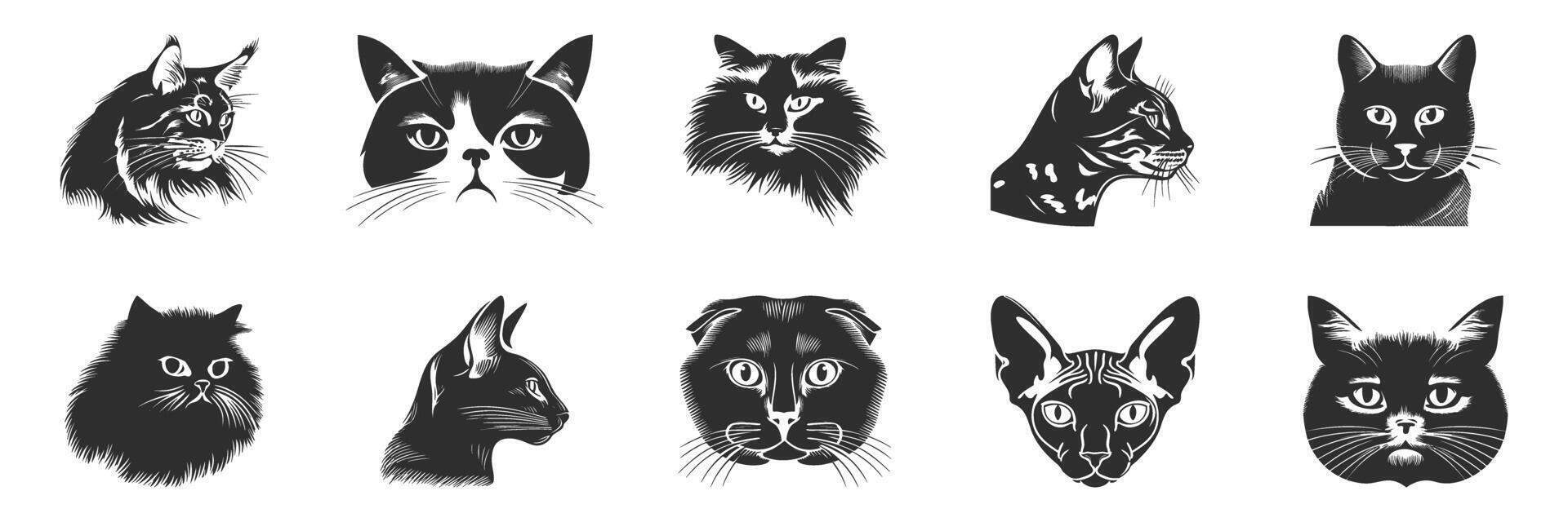 Cat Breed Silhouettes Set. Diverse Feline Heads In Black And White Isolated Illustration Collection vector