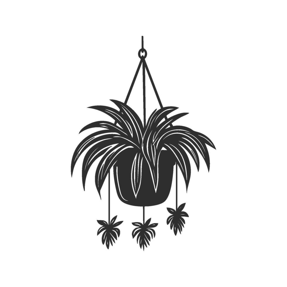 Hanging Spider Plant Silhouette Illustration. Indoor Gardening And Home Decor Concept Isolated Illustration vector