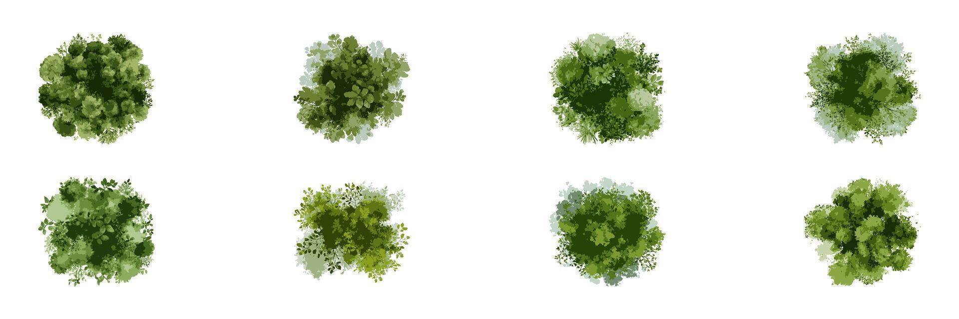 Top View Watercolor Bushes for Landscape and Park Planning. Sustainable Garden Elements for Environmental and Urban Green Projects. Isolated Illustration vector