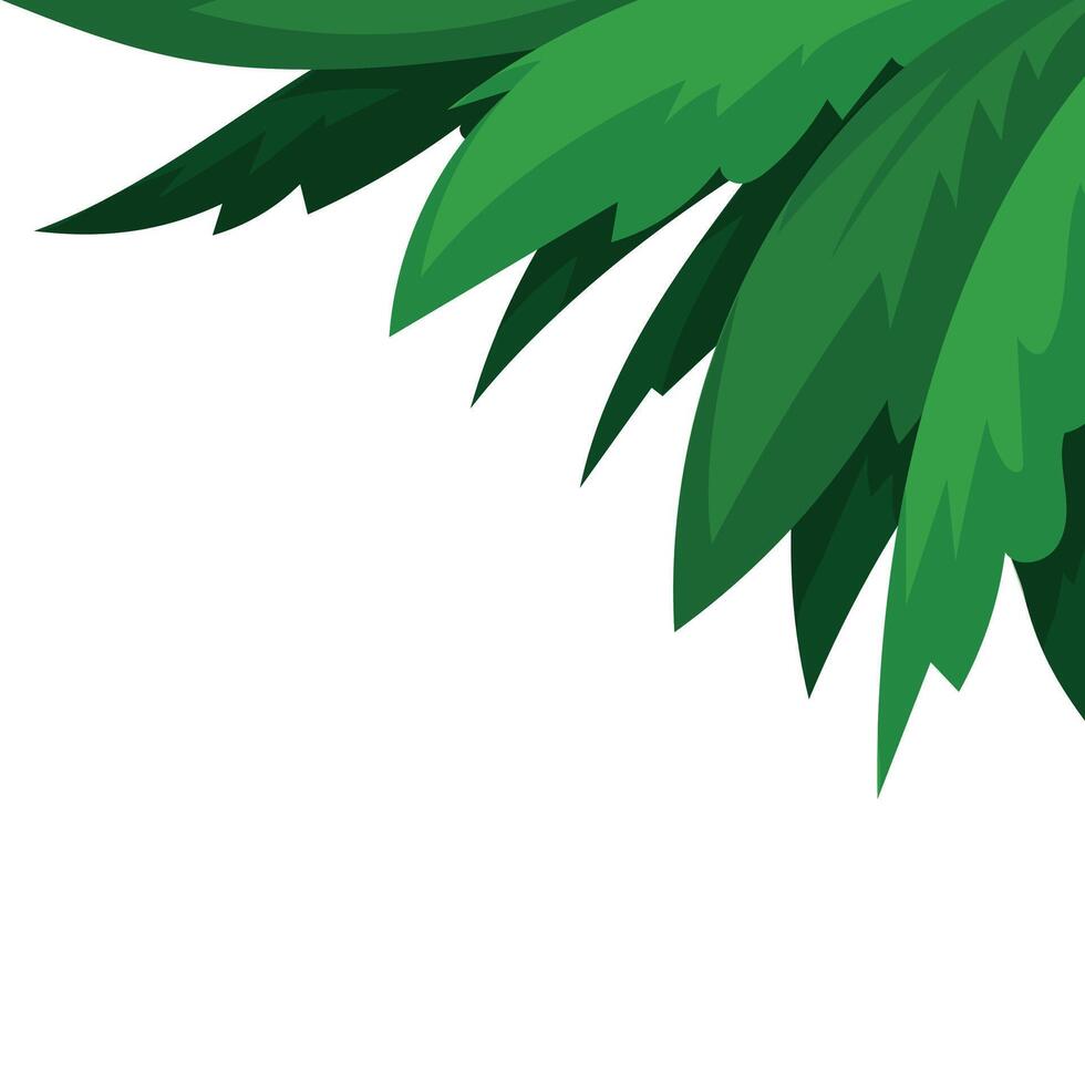 Green tropical leaves on white background with copy space for nature themed decoration vector