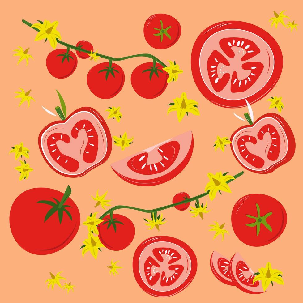 set of ripe tomatoes on a branch. Hand drawn illustration cherry tomatoes blooming tomatoes slices and pieces for salad. Picture, screensaver, pattern, stickers, poster vector