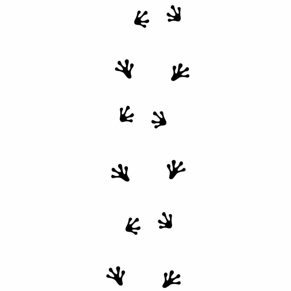 Frog footprints on a white background. Silhouette of a leaping frog leg. vector