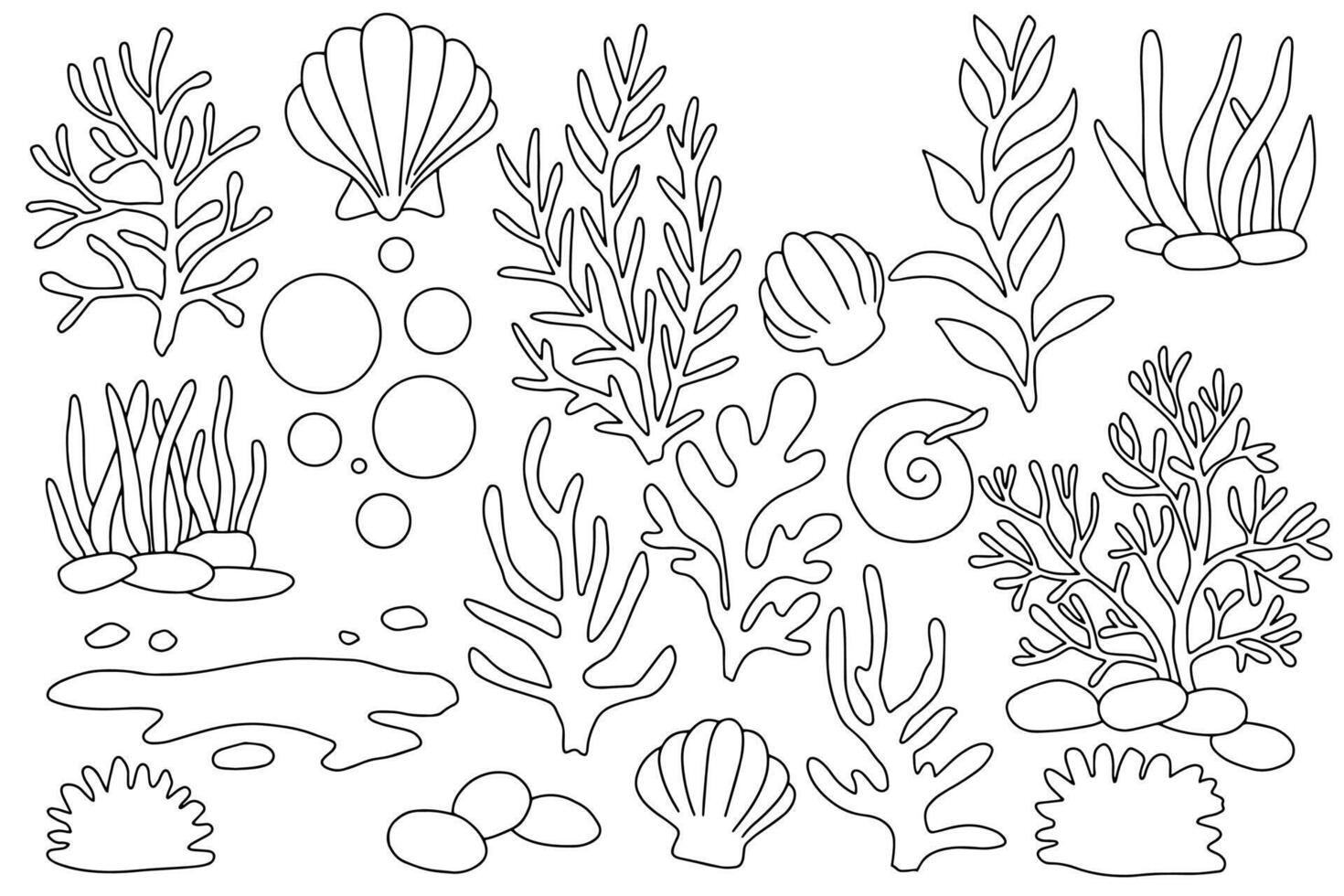 Coloring book. Illustration of sea elements starfish, shells, corals, seaweed and bubbles. Illustration in doodle style. vector
