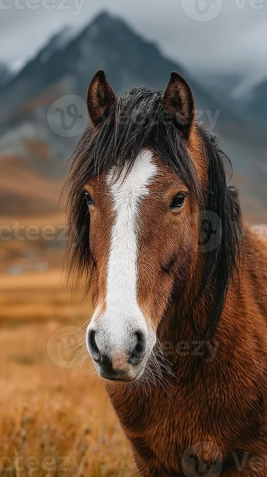 Majestic brown horse with striking white stripe stands in golden grassland with mountains in background on a cloudy day photo