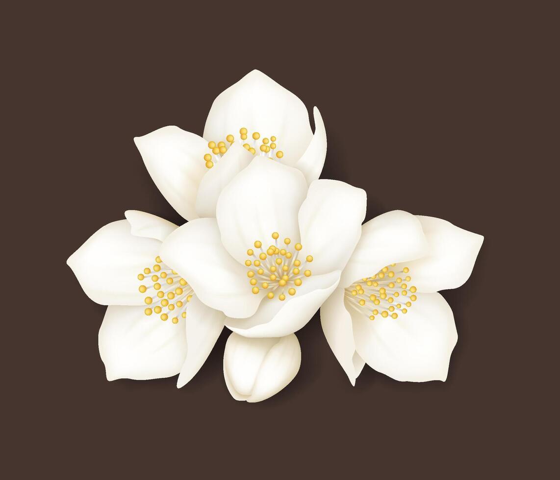 Realistic illustration of elegant jasmine flowers with delicate white petals and yellow stamens set against a soft brown background. Perfect for decorative purposes. vector