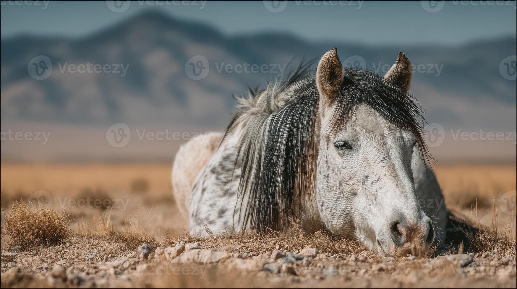 Grey horse resting on the ground under a clear sky in a serene mountain landscape during daytime photo