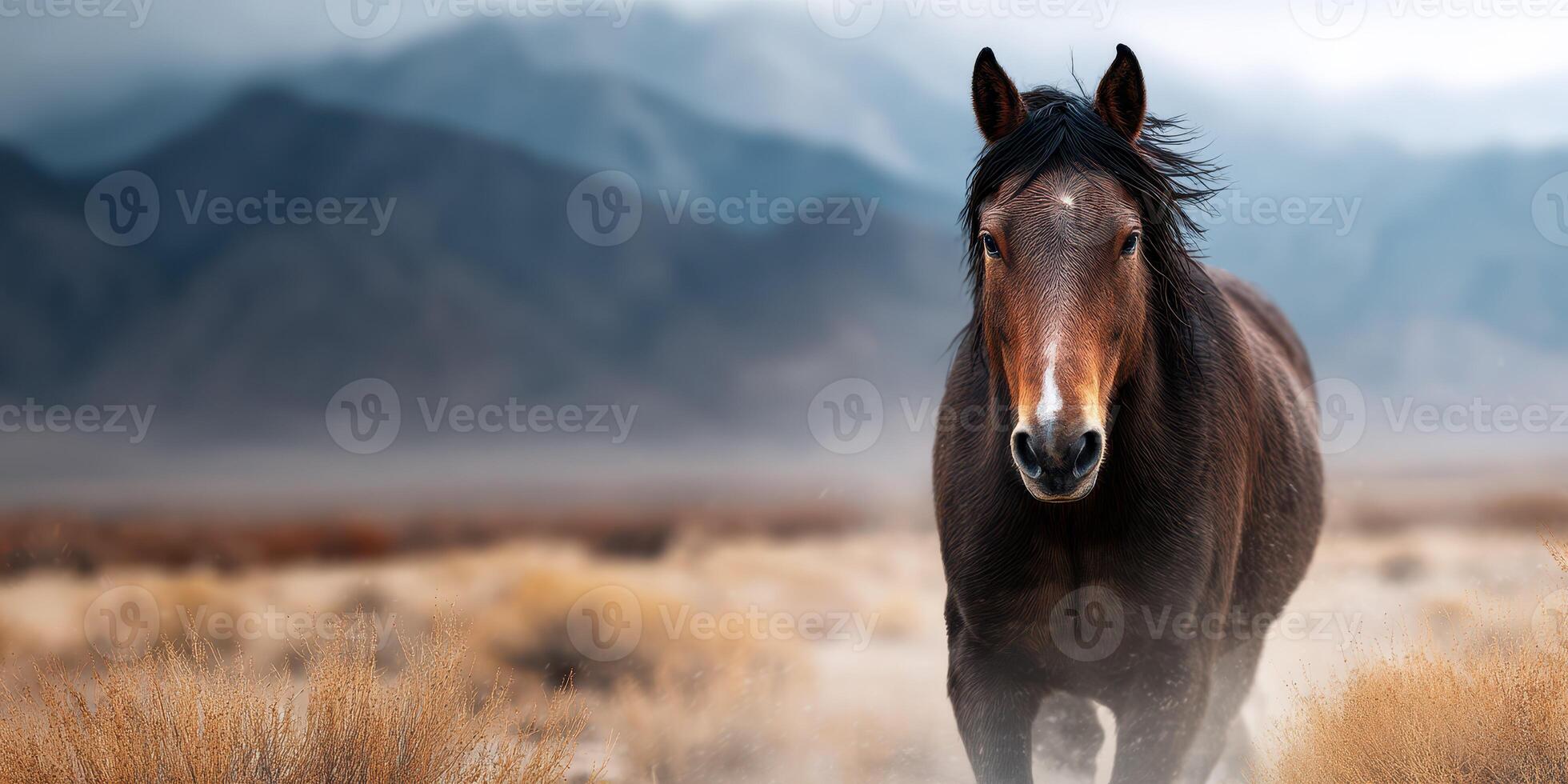 Wild horse running through a dusty landscape under a cloudy sky in the mountains during early morning light photo