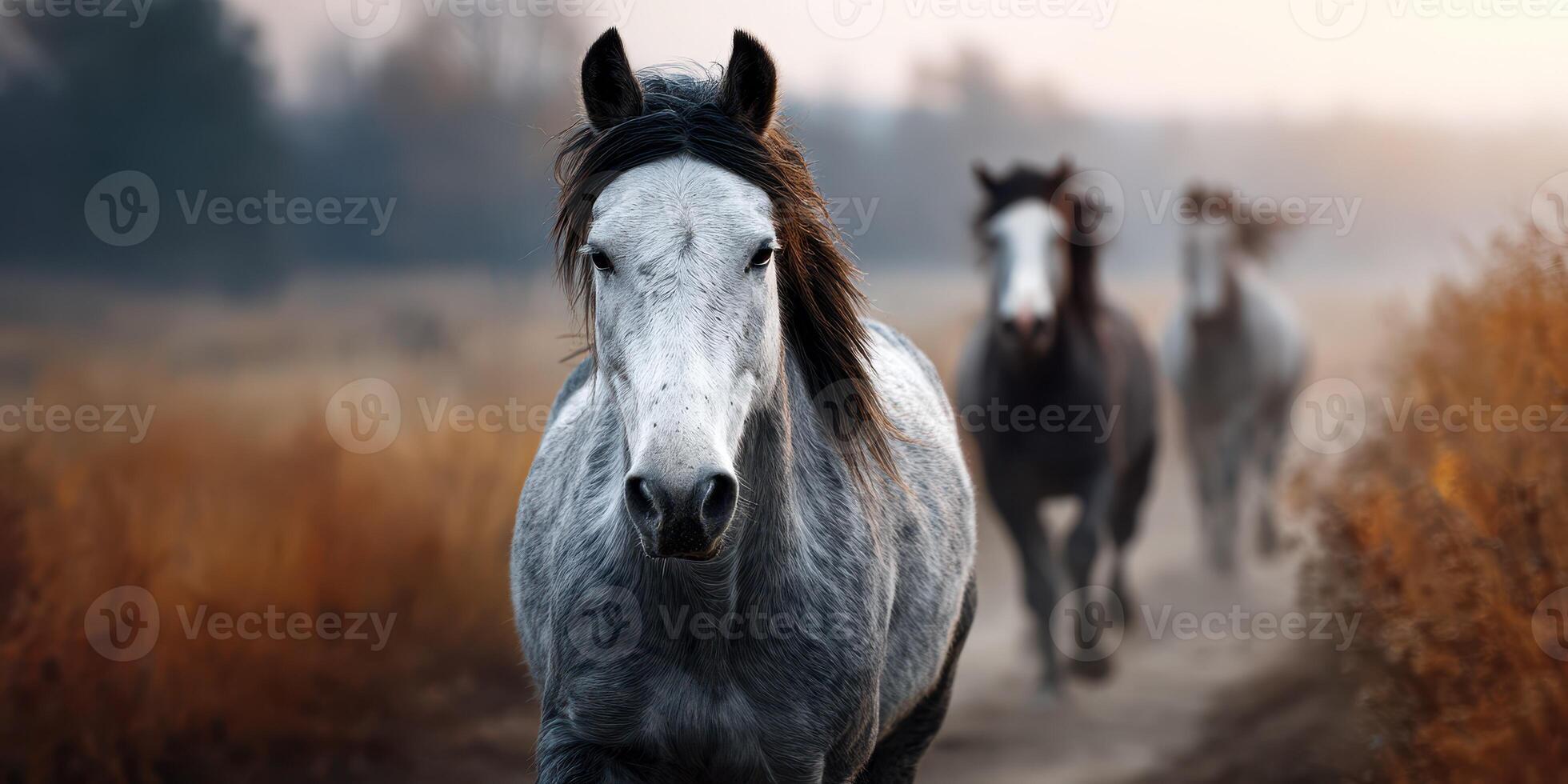 Galloping horses run through a misty landscape at dawn in the countryside photo