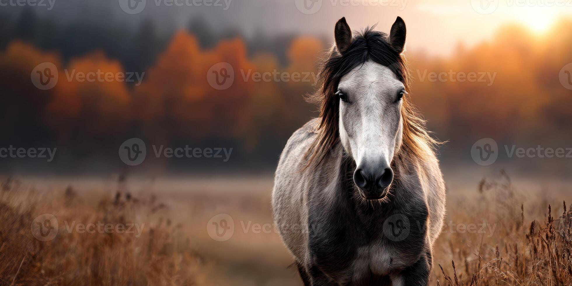 Horse stands majestically in a golden field during sunset with vibrant autumn colors in the background photo