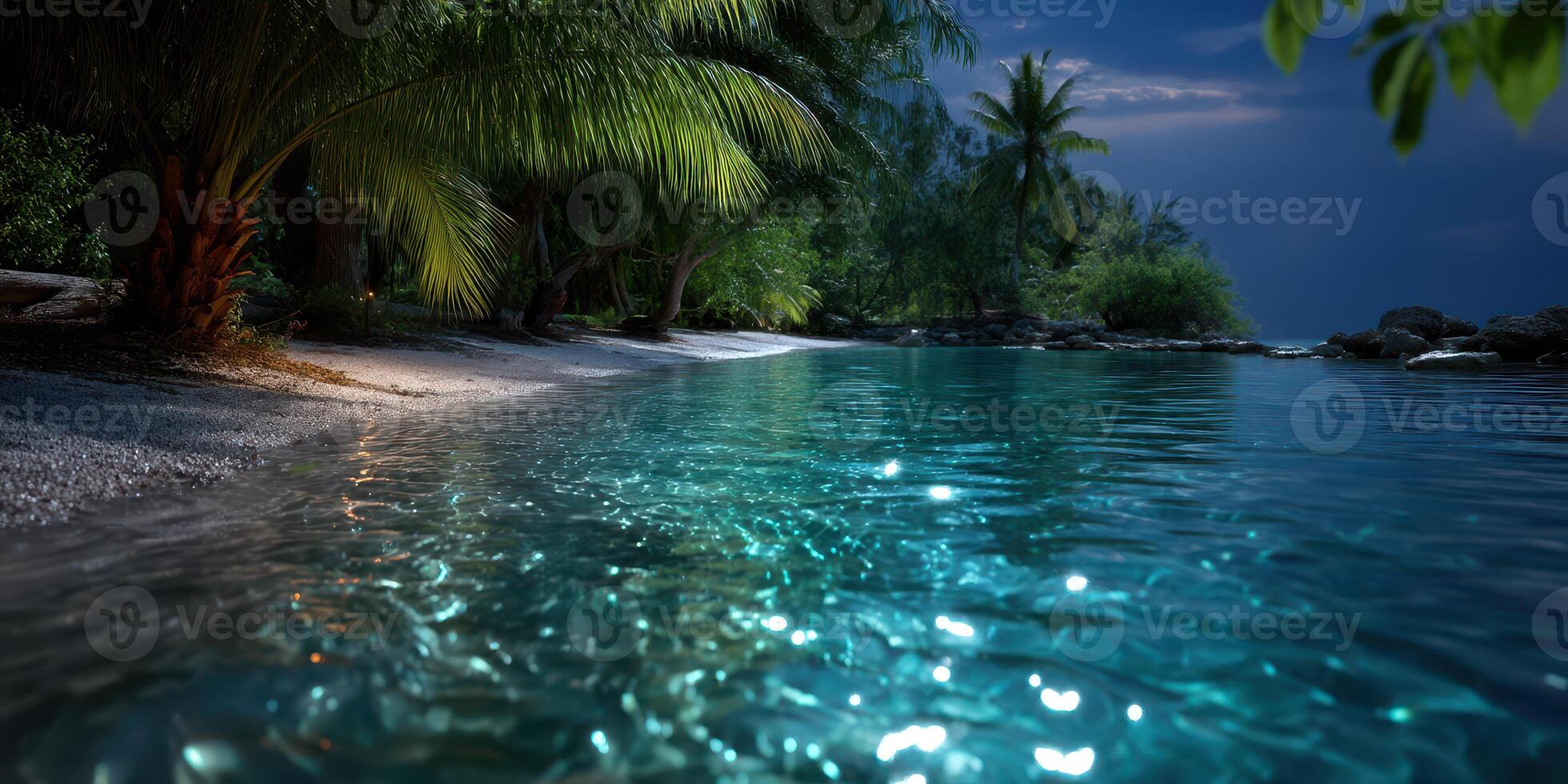 Serene night at a tropical beach with calm waters and lush palm trees reflecting the moonlight photo
