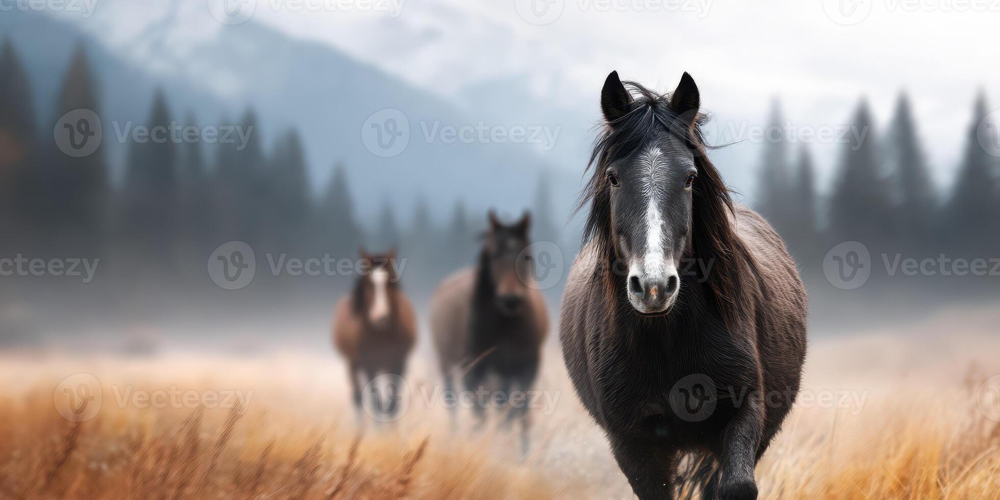 Herd of horses galloping through foggy meadow in mountainous landscape at dawn photo