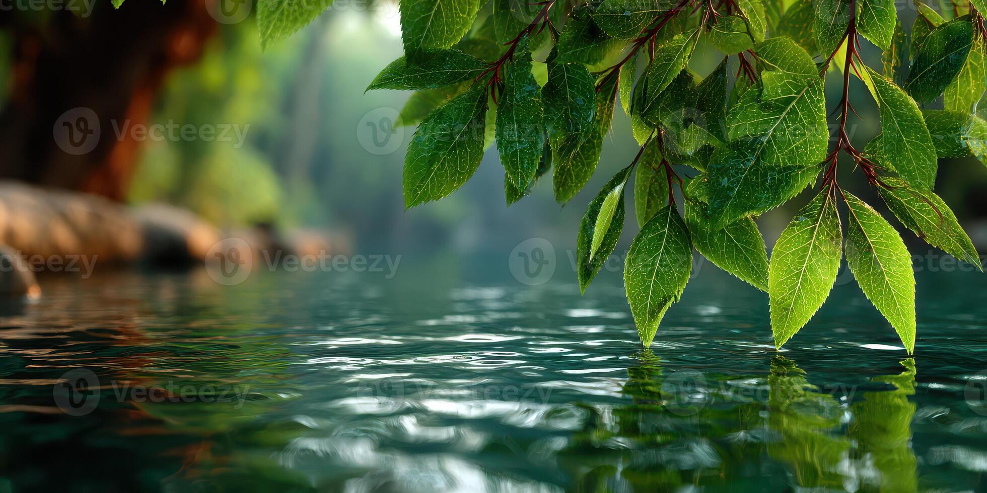 Tranquil water reflecting lush green leaves in a serene natural setting at dawn photo