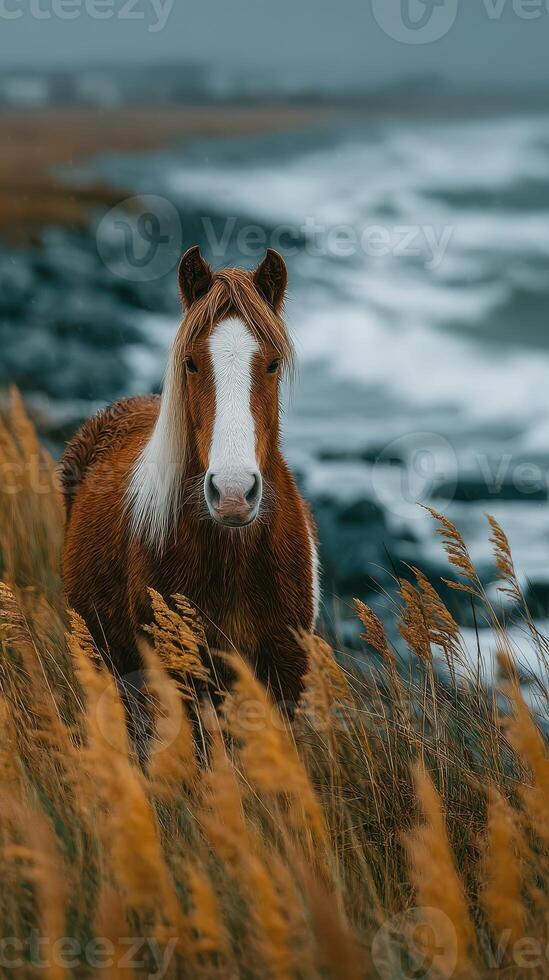 Brown horse standing near beach with golden grass and waves in cloudy weather photo