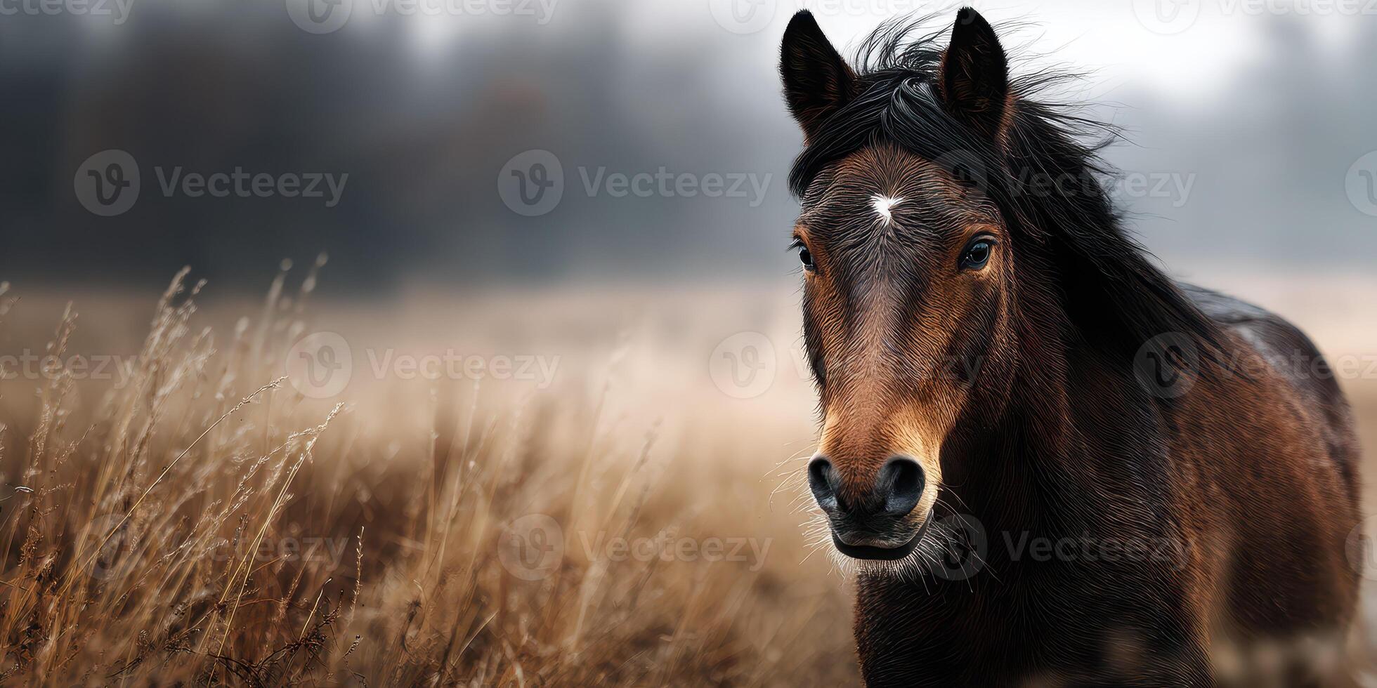 Majestic brown horse standing in a misty field at dawn, showcasing its beauty and strength against a serene backdrop photo