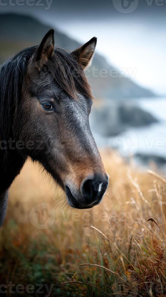 Horse standing in coastal grassland near cliffs during overcast weather with ocean background photo