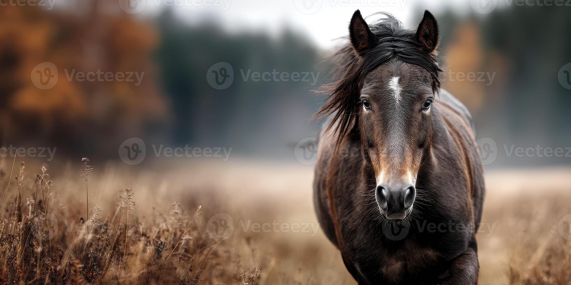 Majestic brown horse walking through a serene meadow surrounded by autumn foliage in early morning light photo