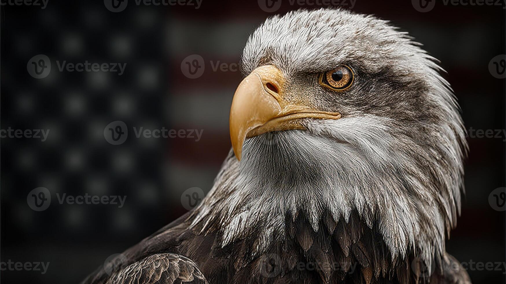 Majestic bald eagle perched with a strong gaze in front of an American flag photo