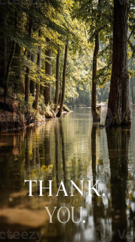 Tranquil river reflecting trees in peaceful forest during golden hour creating a serene atmosphere of gratitude photo