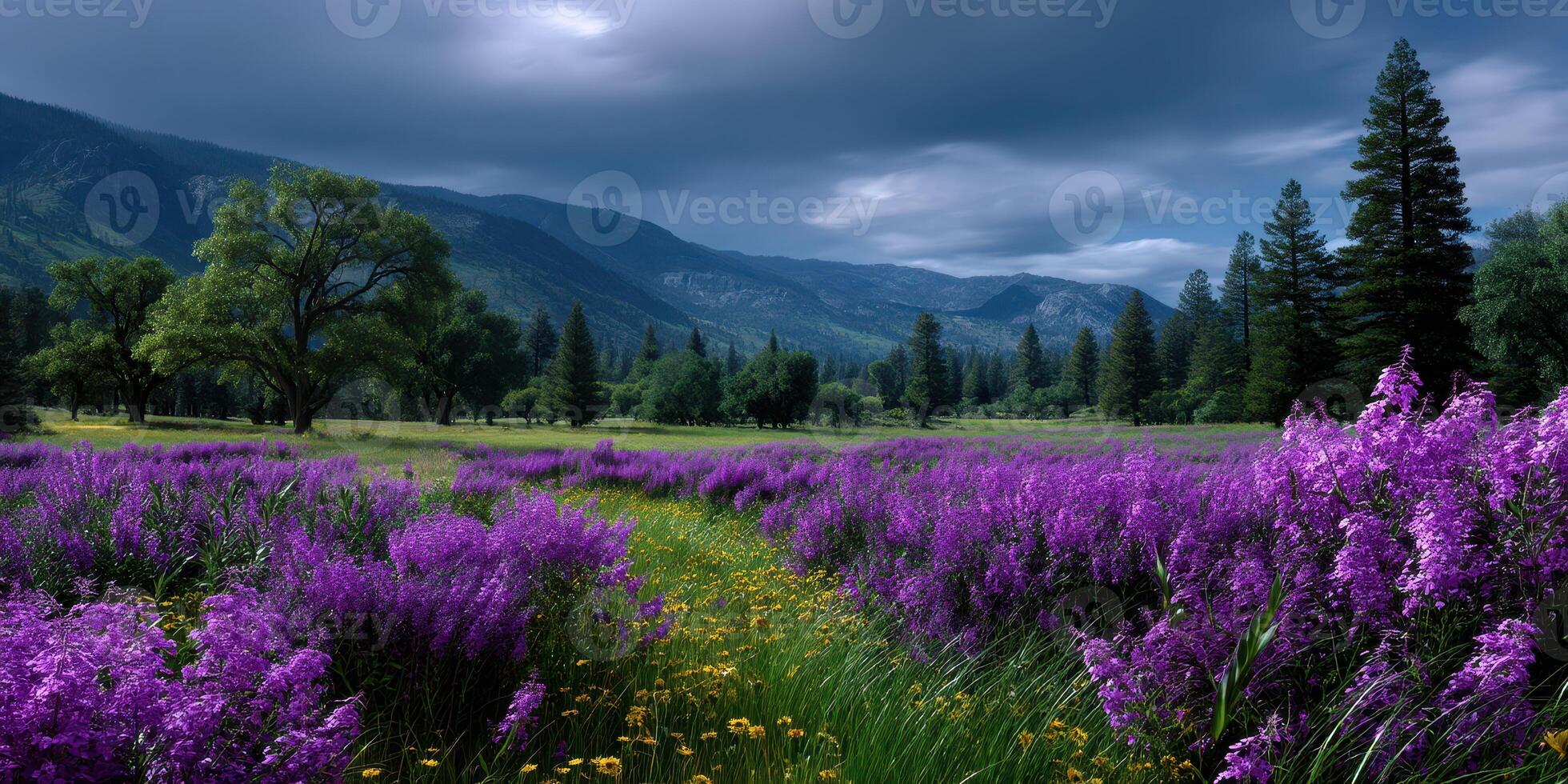 Vibrant purple flowers blanket a serene valley surrounded by majestic mountains and tall trees on a cloudy day photo