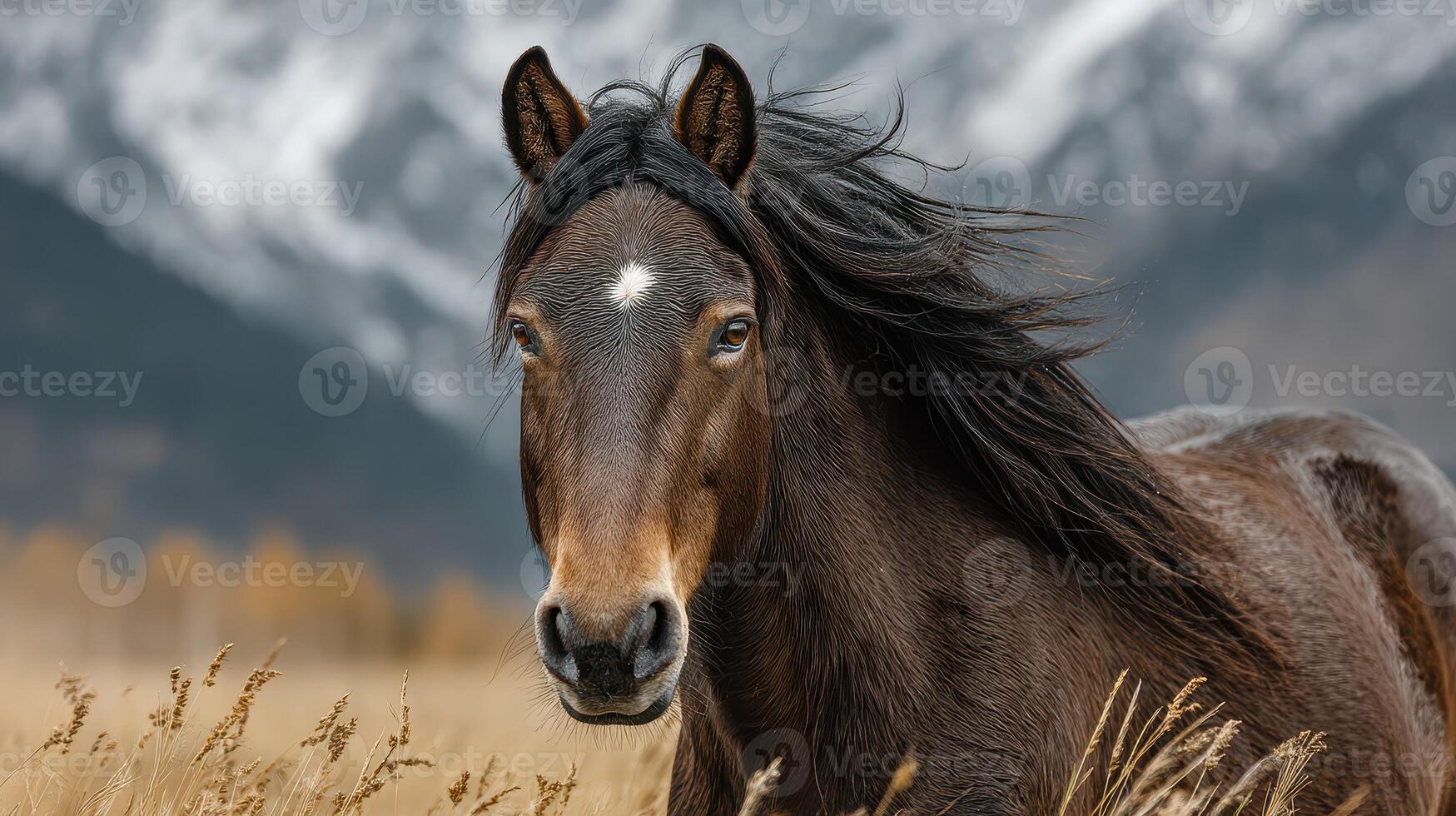 Majestic brown horse standing in a golden field with mountains in the distance during a crisp autumn day photo