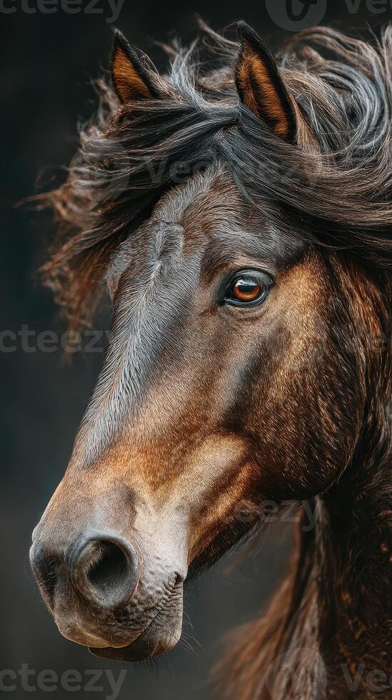 Close up of a majestic black horse with flowing mane captured in a serene moment during golden hour in a natural environment photo