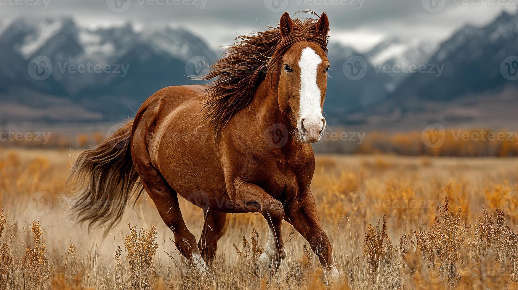 Horse gallops through golden grasslands with mountains in the background on a cloudy day photo