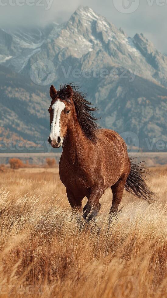Majestic brown horse galloping through golden grassland with mountains in the background photo
