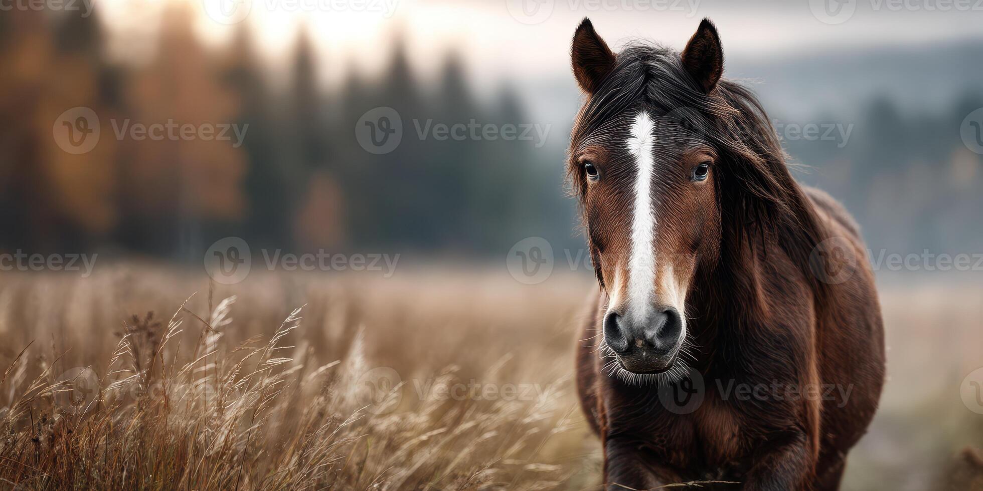 Majestic brown horse standing in a field during golden hour with trees in the background photo