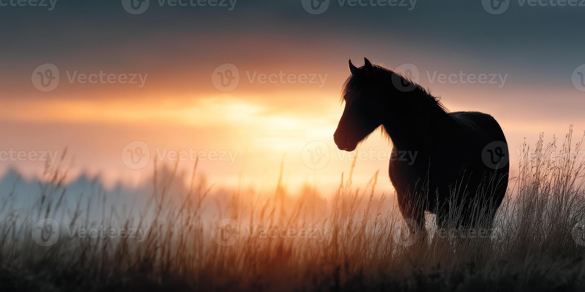 Majestic horse stands silhouette against a vibrant sunset in a tranquil field photo