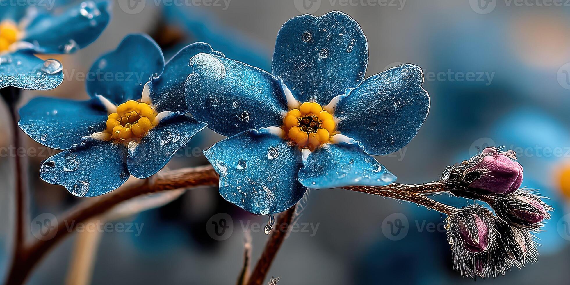 Beautiful blue flowers with raindrops glistening under soft light in an early morning garden setting photo
