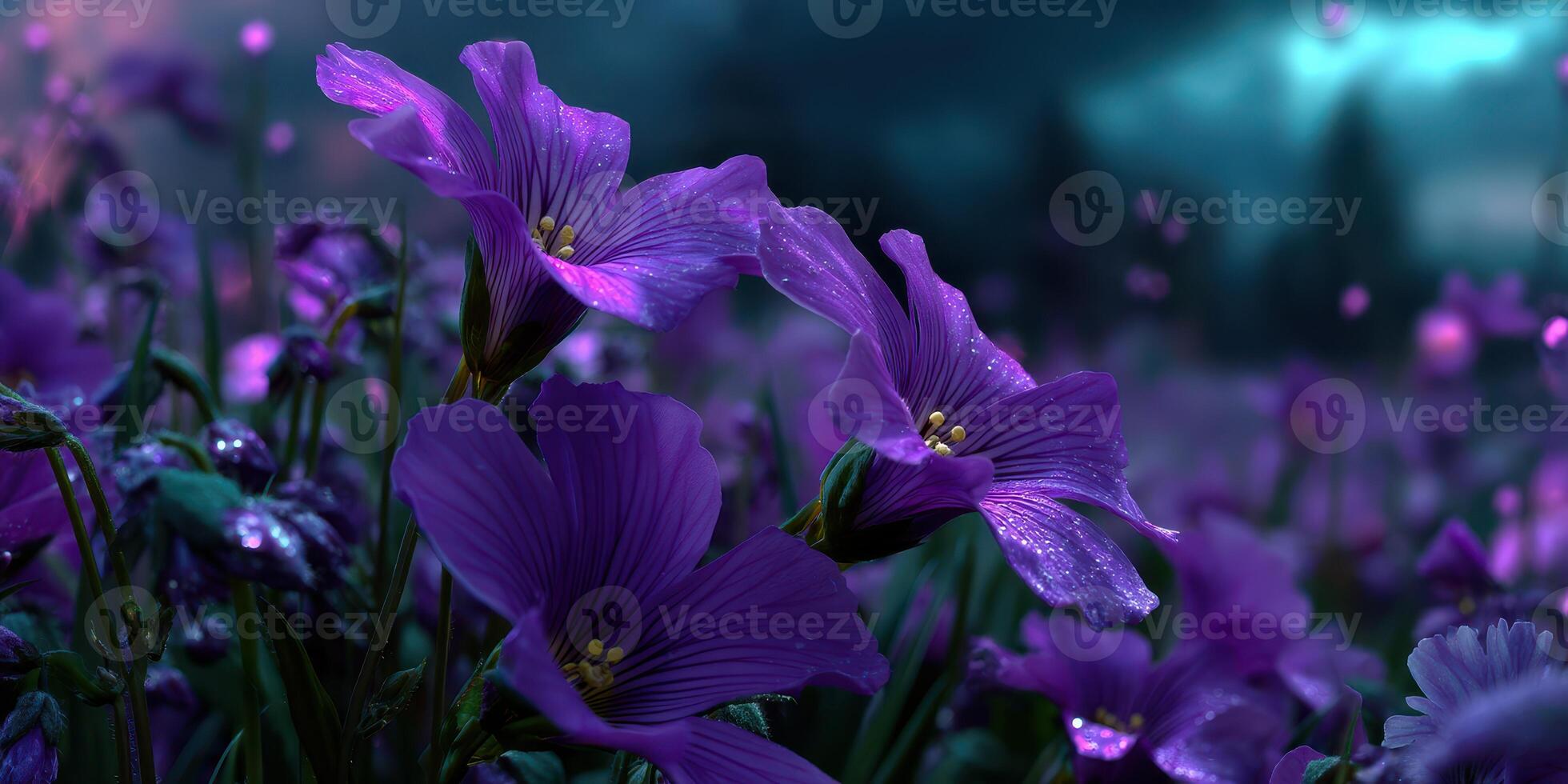 Vibrant purple flowers bloom under a twilight sky with gentle raindrops photo
