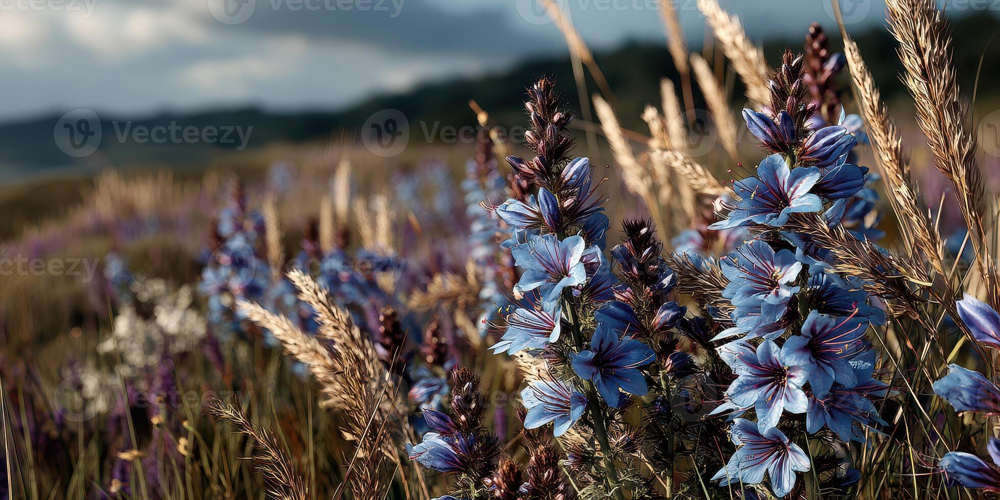 Lush wildflowers blooming in a serene field during golden hour near a tranquil hillside landscape photo