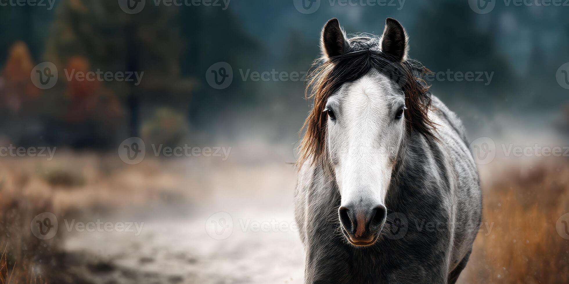 Majestic grey horse standing in a misty meadow during early morning light photo