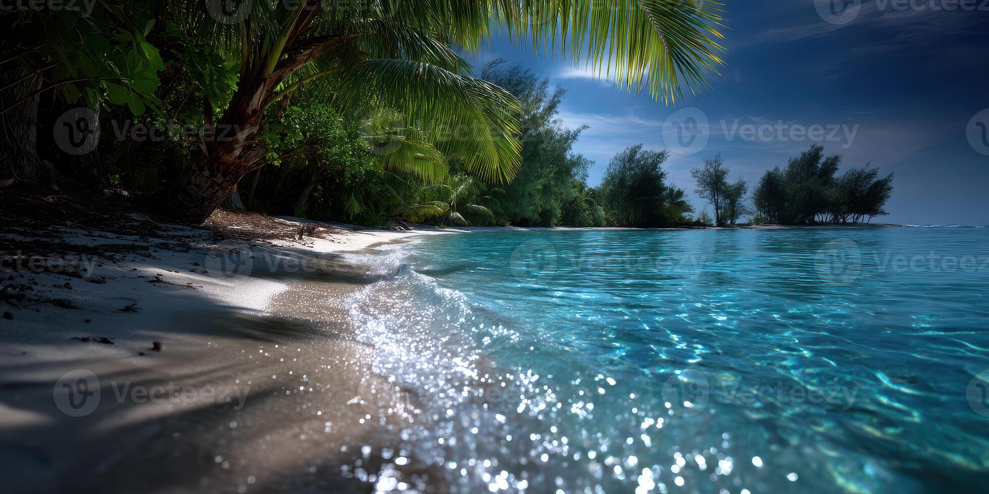 Tranquil night at a tropical beach with palm trees and clear water under the moonlight photo